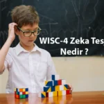 WISC-4 Zeka Testi Nedir, Nasıl Uygulanır?